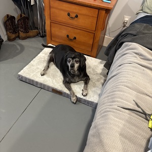 Fundraising Page: Jessica Palmateer